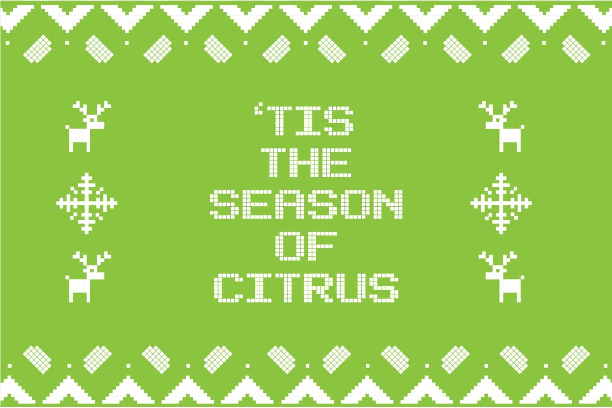 Bevi Key Lime Sweater - Tis the Season of Citrus