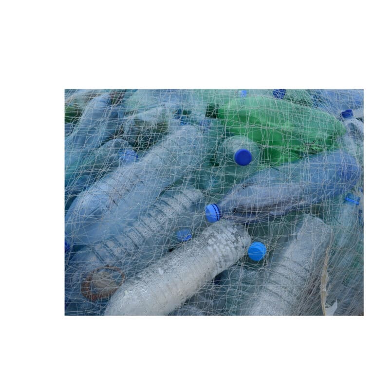 Discarded plastic water bottles in nylon netting