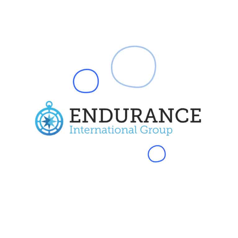 Endurance International Group logo