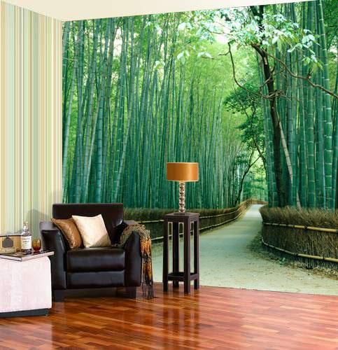 wellness space with trees trends bevi