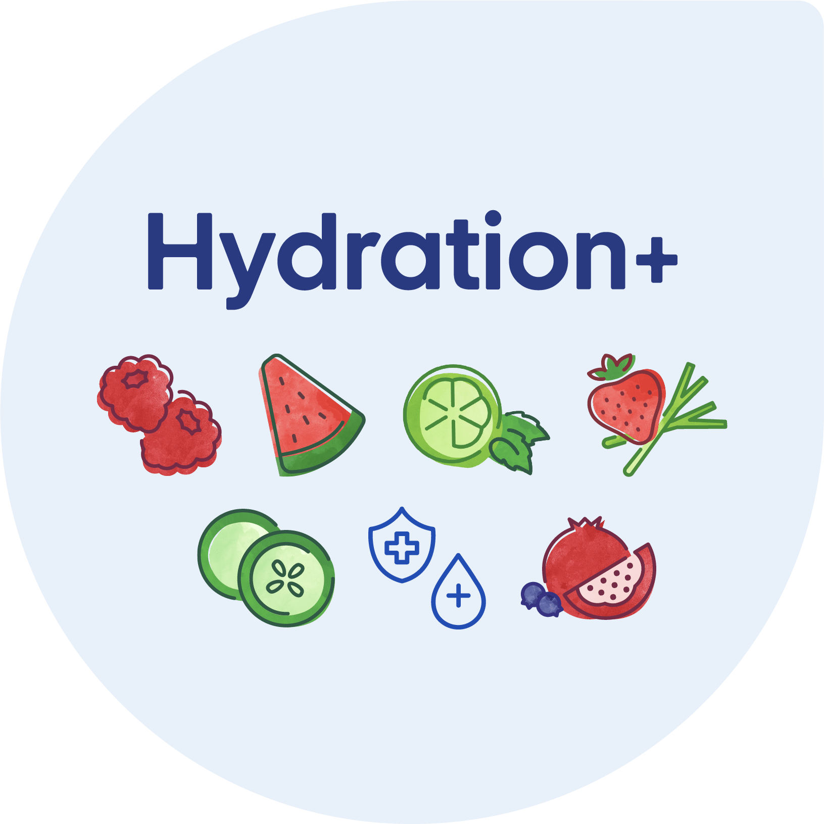 hydration_plus_starter