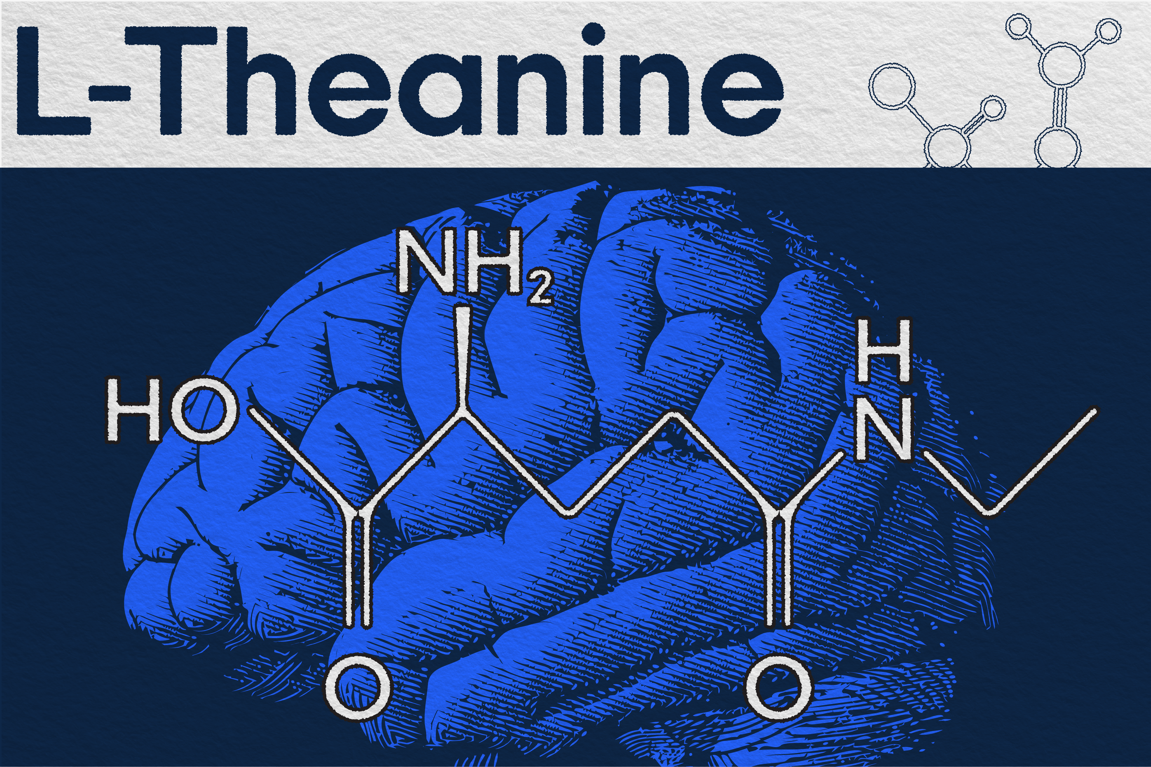 L-theanine 101: The sneaky popular nootropic in your drink