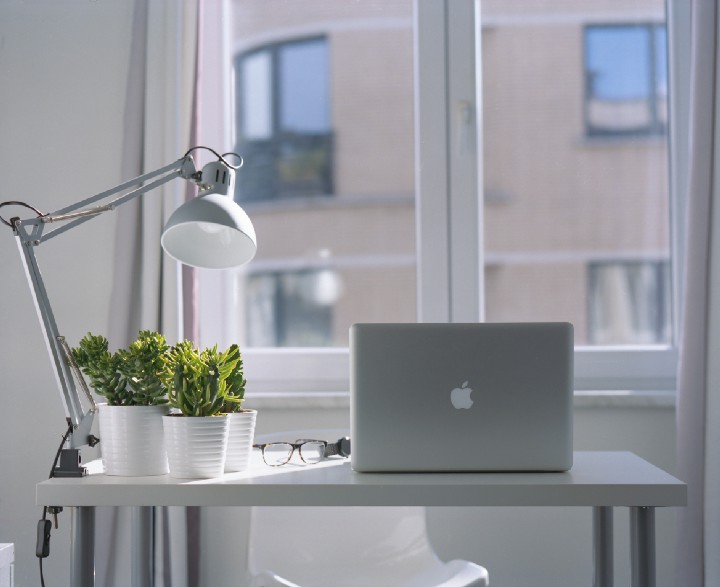 Office with plants