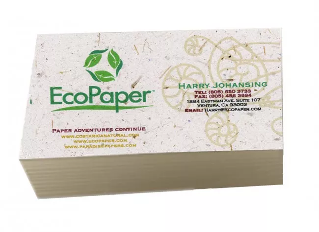 Eco-friendly business card