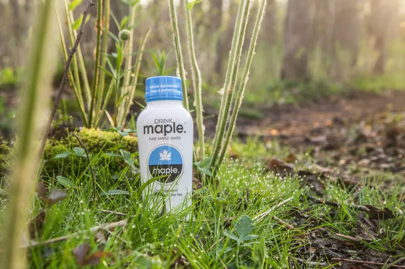 maple water is a sweet soda alternative