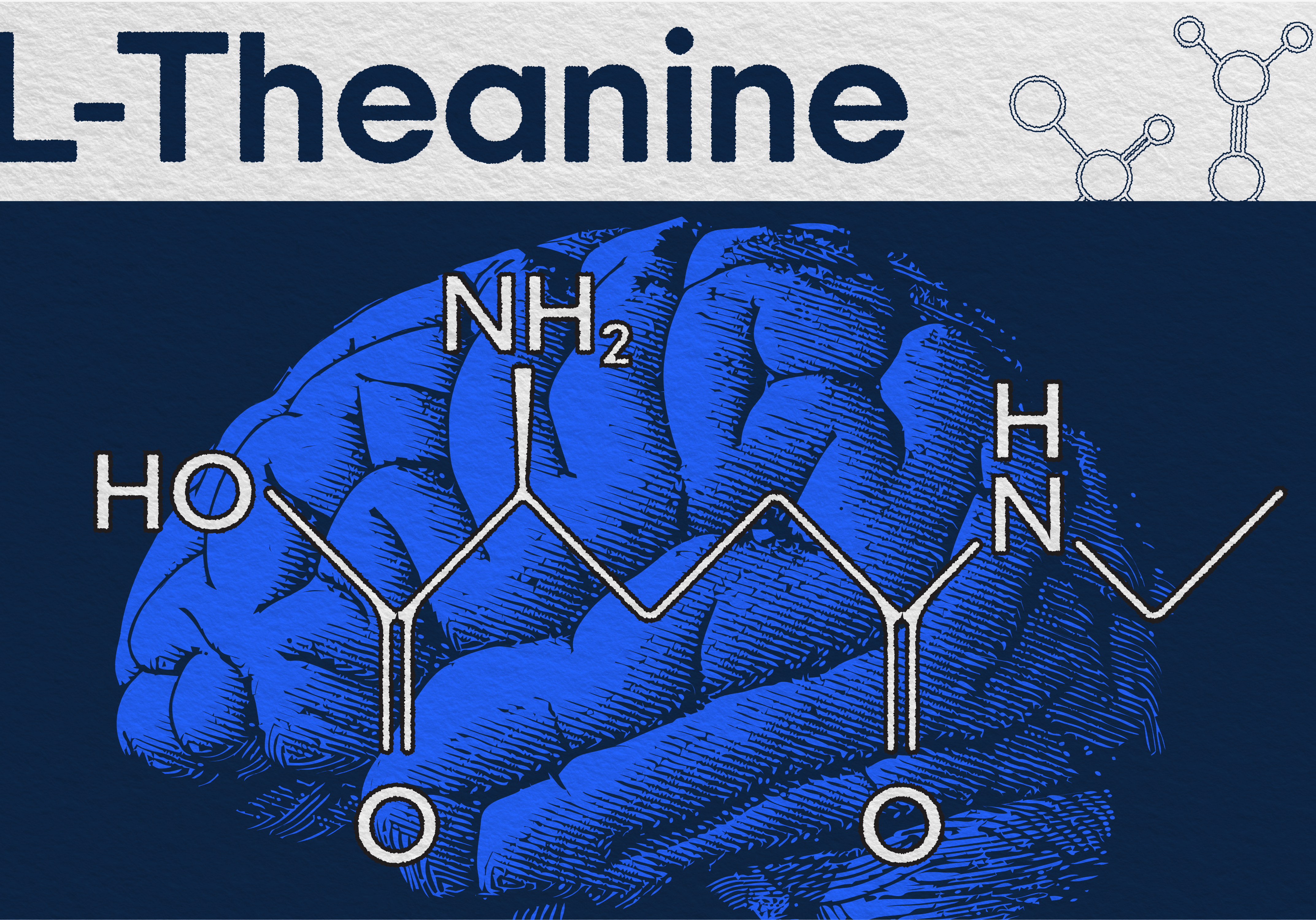 L-theanine helps you focus