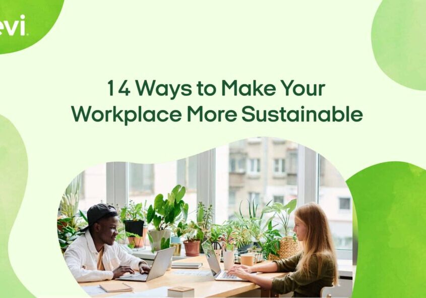 Photo of 2 young adults working at a large desk surrounded by windows and plants with the caption "14 ways to make your office more sustainable"